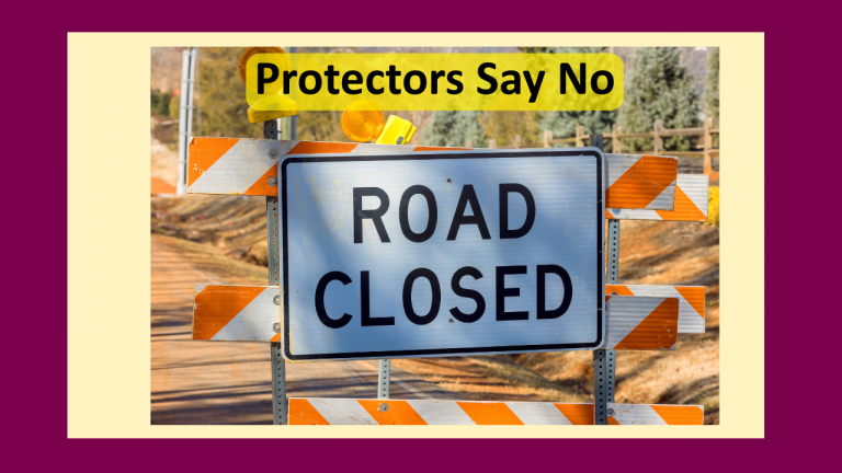 Why Protectors Often Oppose Healing in Dissociative Systems