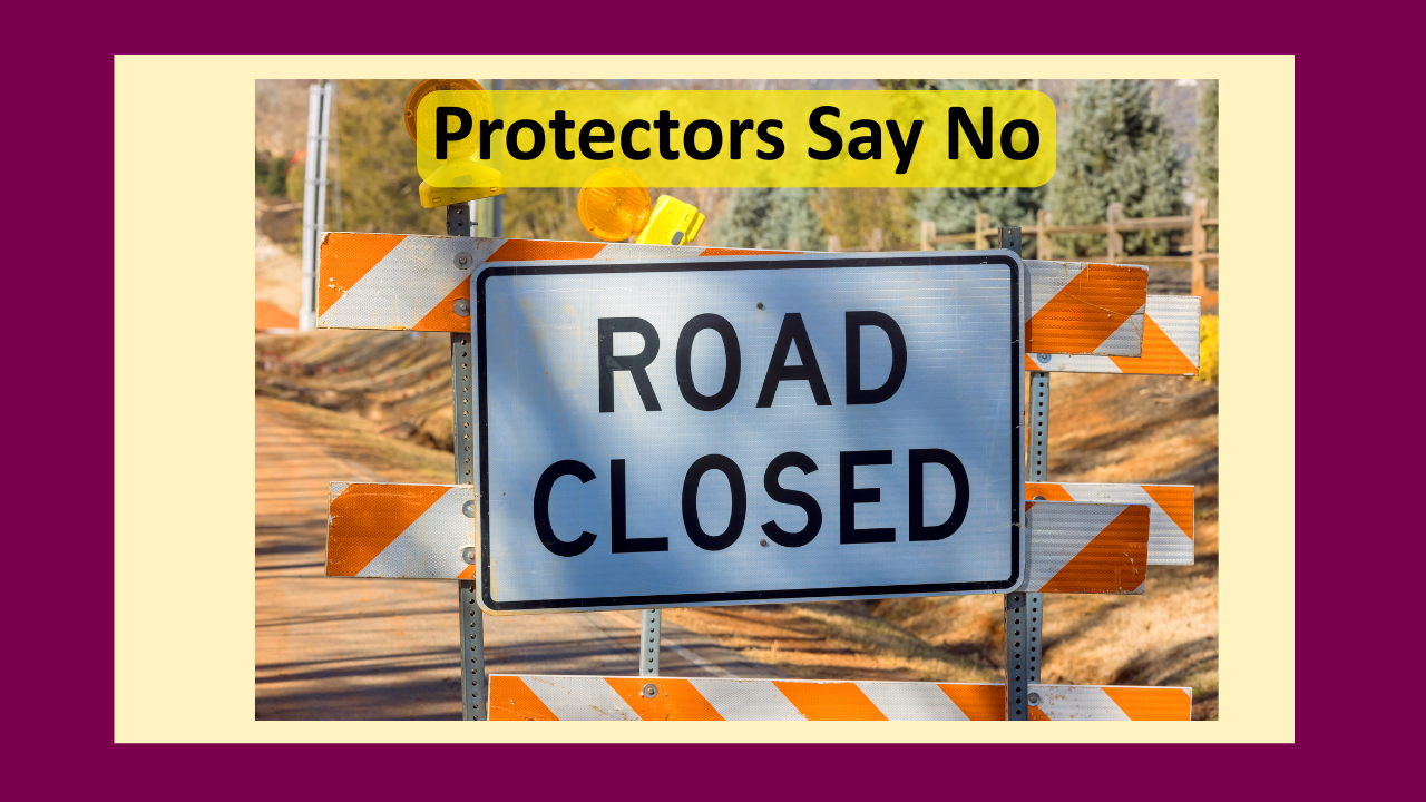 Read more about the article Why Protectors Often Oppose Healing in Dissociative Systems