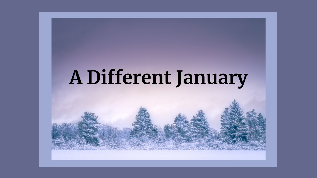 Read more about the article A Different Kind of January for Trauma Survivors