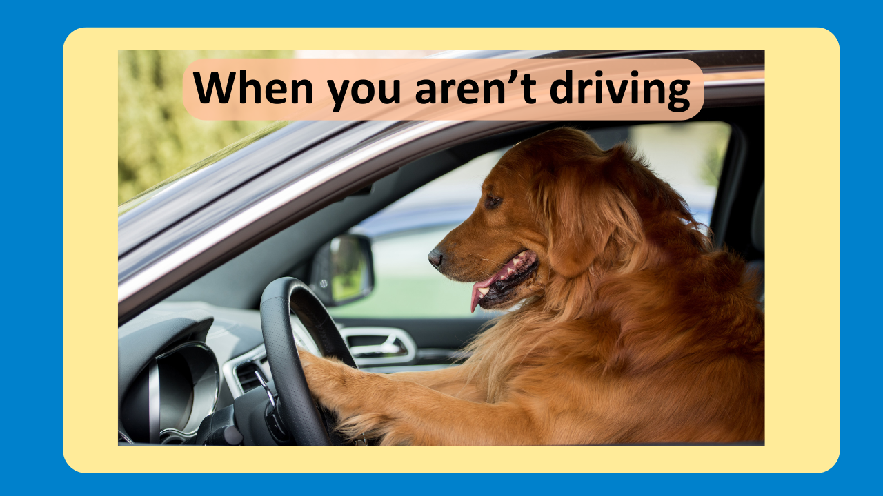 Read more about the article Fronting But Not In Control